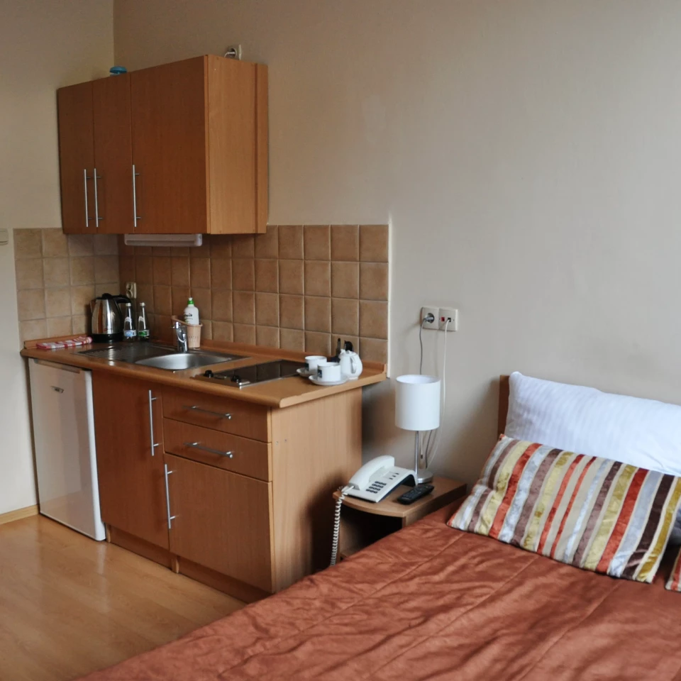 pokoj-z-aneksem-kuchennym-maly-krakow