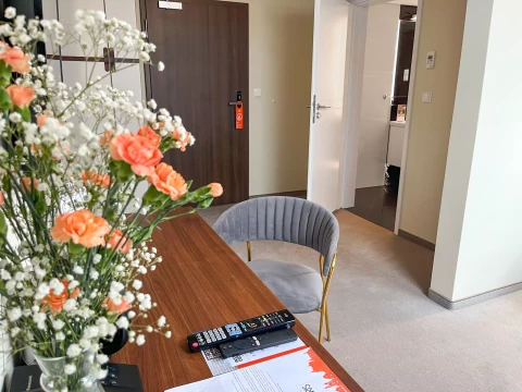 Pokój jednoosobowy Xerion