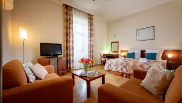 Red Brick Apartments - Apartament Superior